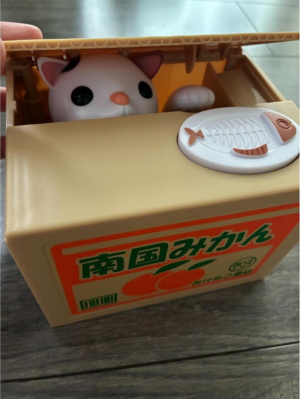 Cat stealing coin piggy bank